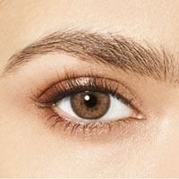 Desìo Attitude monthly collection in three tones sphérique Eternal Brown