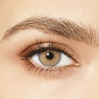 Desìo Attitude one day collection in three tones sphérique Tender Hazel