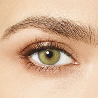 Desìo Attitude one day collection in two tones sphérique Wild Green