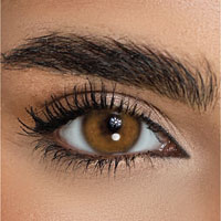Desìo Attitude Quarterly Collection in two tones sphérique Deep Brown
