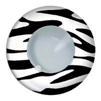 Funny Eyes Zebra