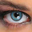 Queen’s One Daily Color Blue