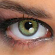 Queen’s trilogy Sphérique Dark Green